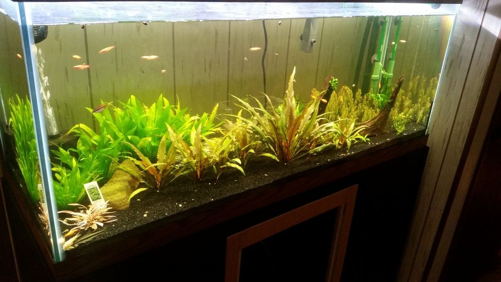 Black Diamond Blasting Sand The Planted Tank Forum
